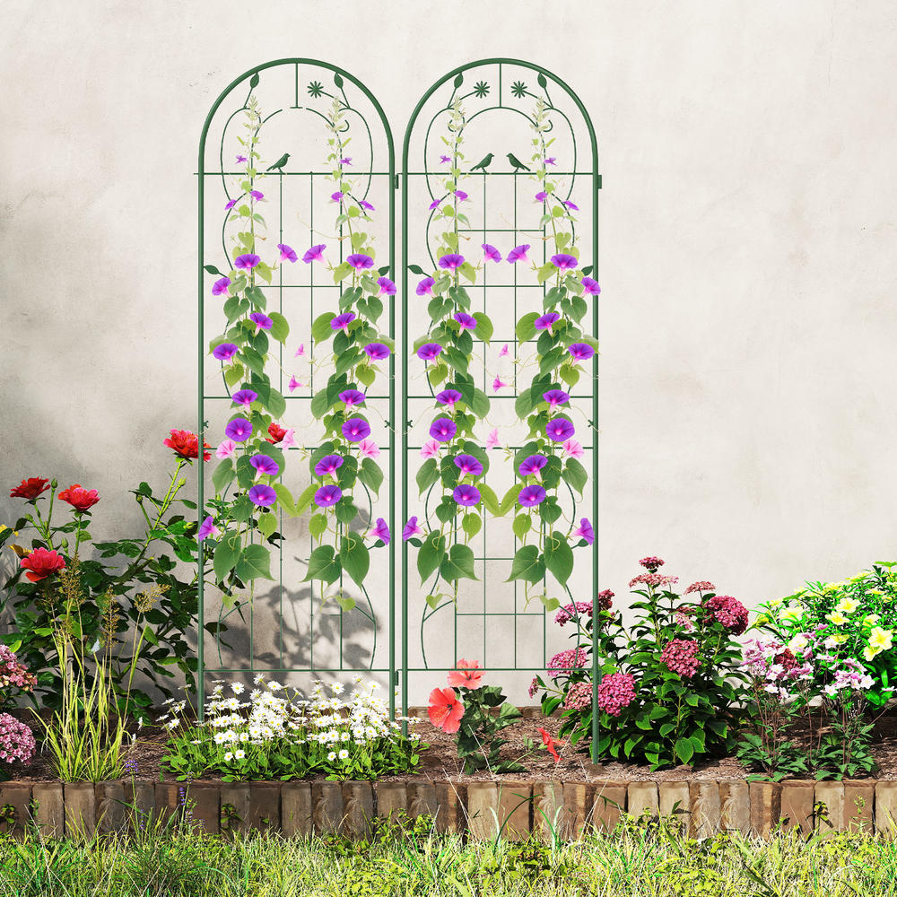 Plants X - 4er-Pack 71 x 20 Zoll Metall-Gartenspalier
