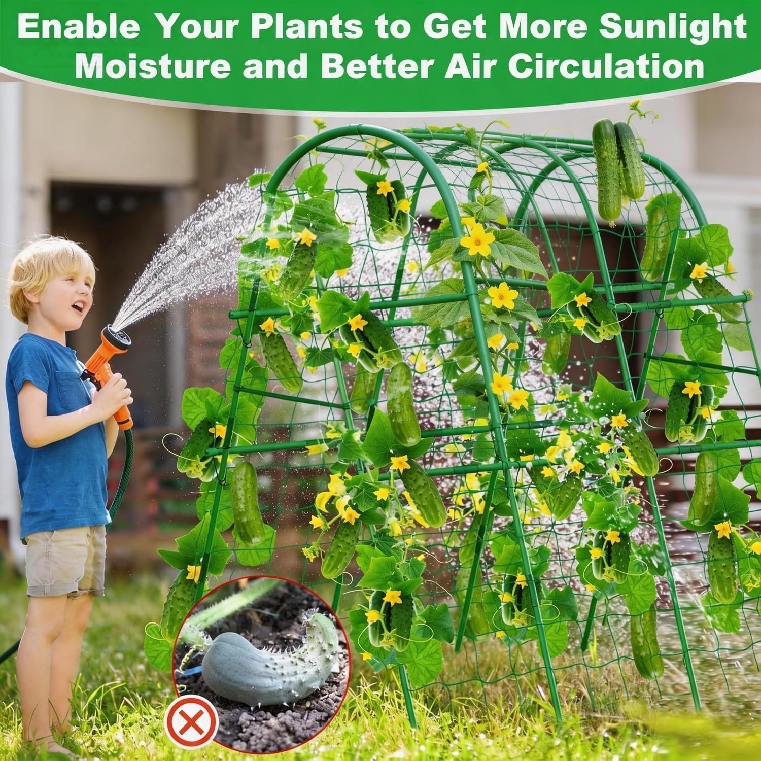 4x5,3FT Gartenbogen-Rankgitter – Plants X Bewertung und Preis