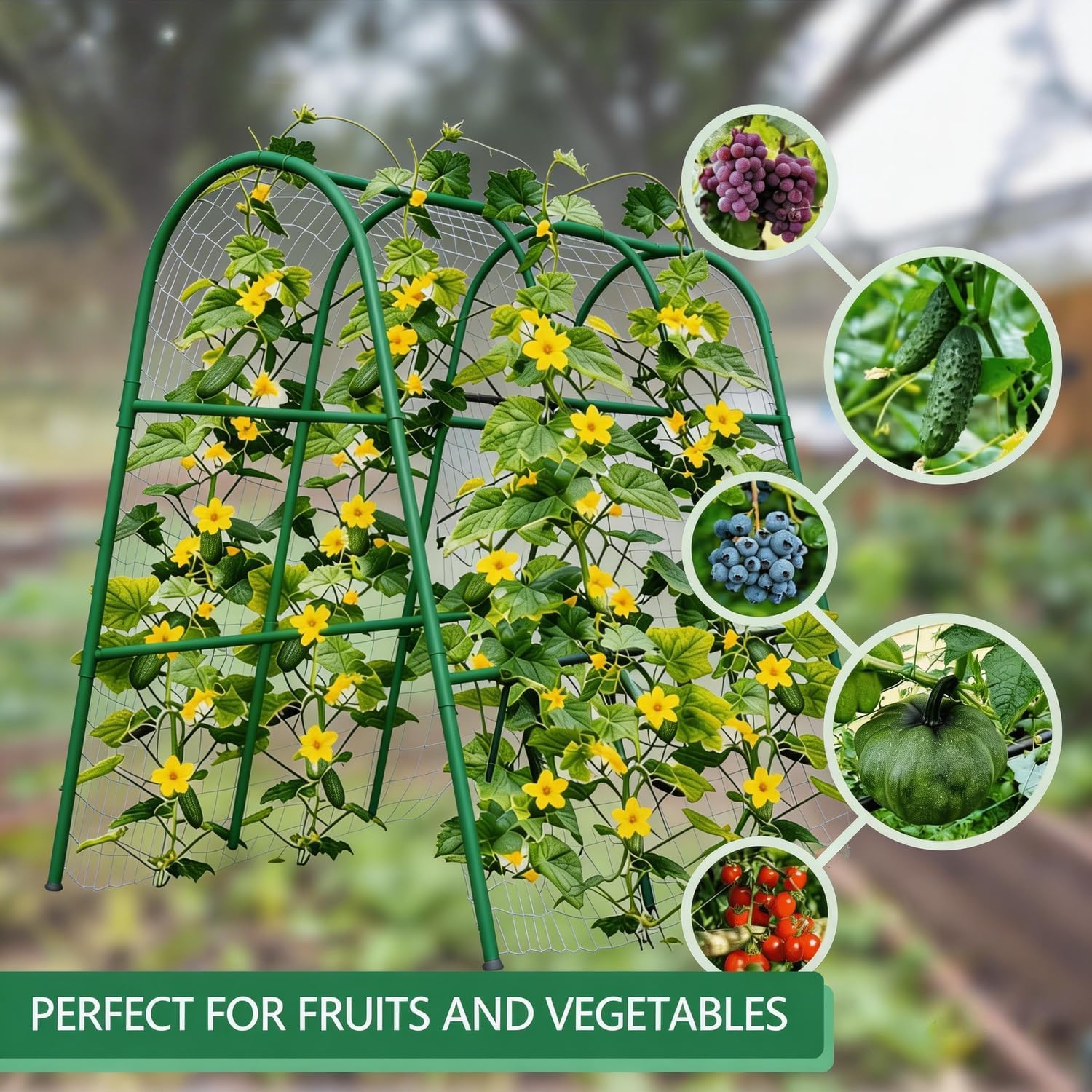 4x5,3FT Gartenbogen-Rankgitter – Plants X Bewertung und Preis
