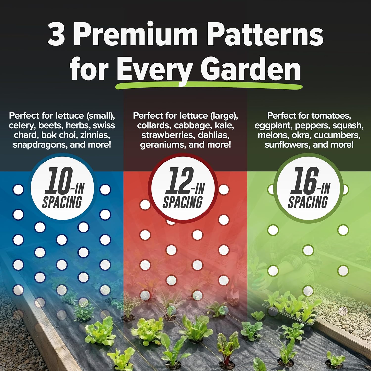 Quick-Plant, Garten-Unkrautbar – Plants X Bewertung und Preis